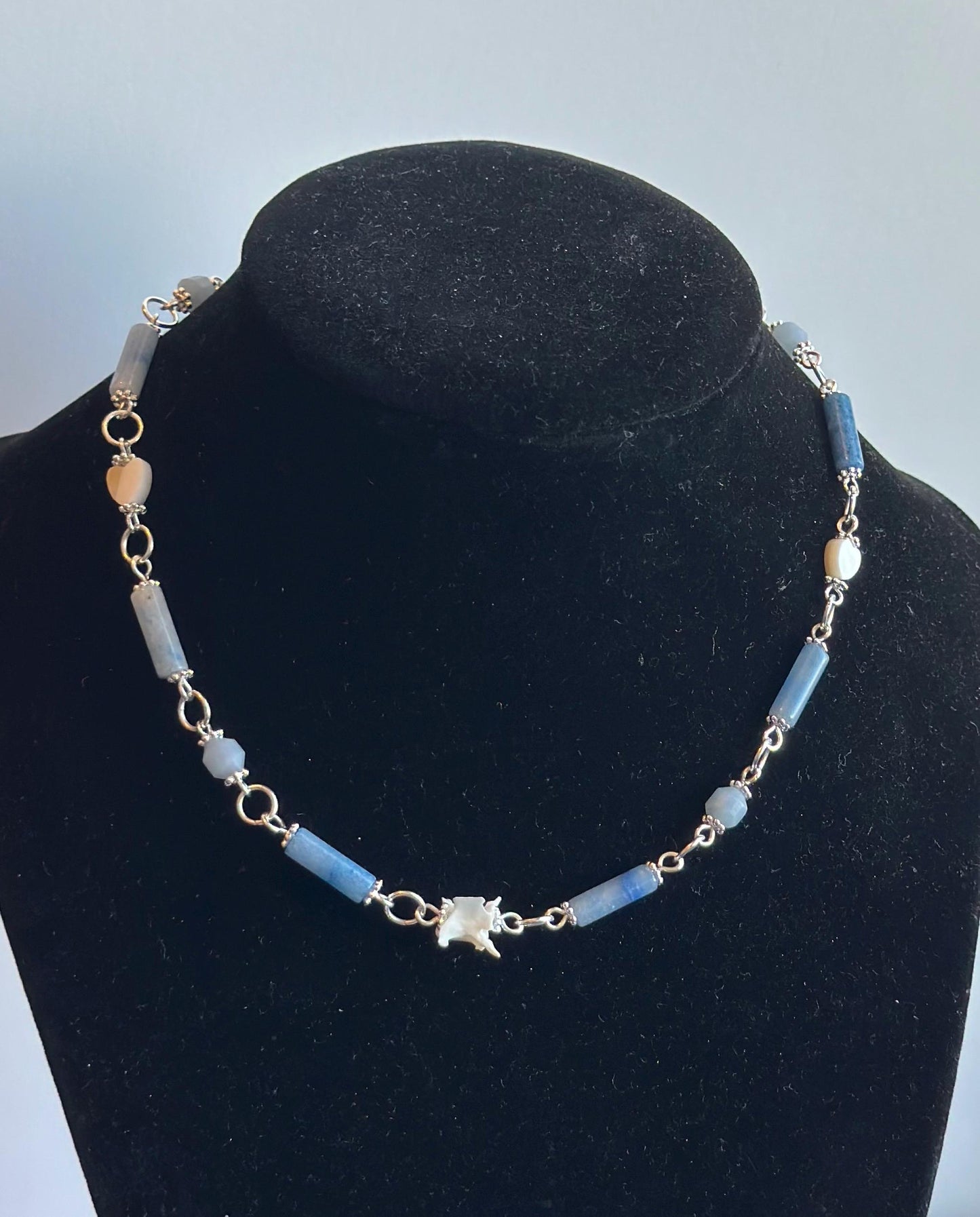 Snake Vertebrae and Blue Lace Agate Necklace - Gothic, Witch, Bone Jewelry