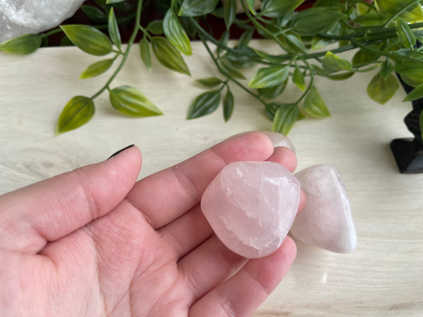 Rose Quartz | Large Tumbled