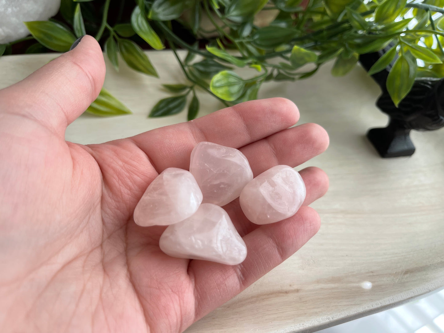 Rose Quartz | Small Tumbled