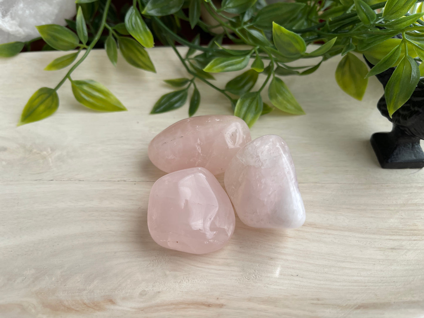 Rose Quartz | Large Tumbled