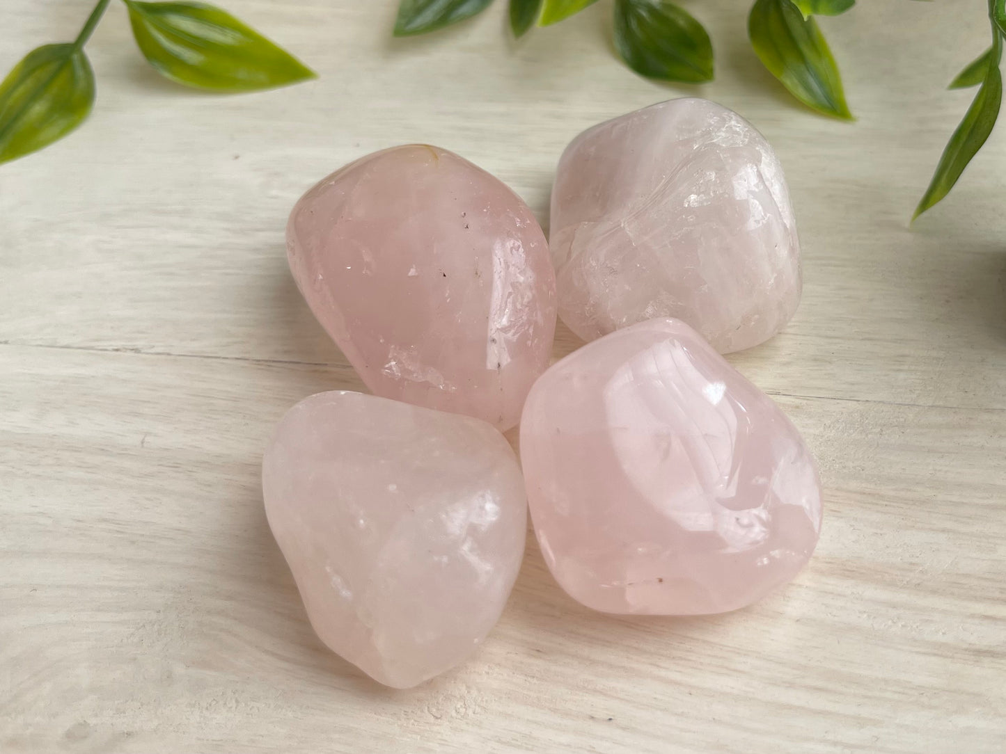 Rose Quartz | Large Tumbled