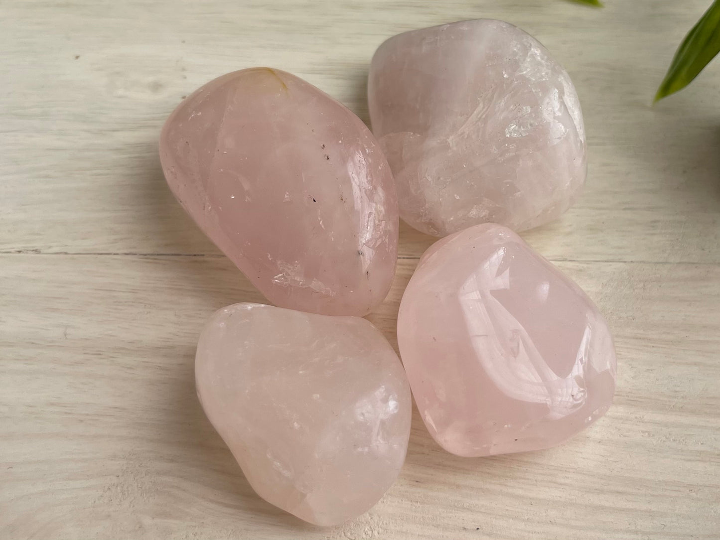 Rose Quartz | Large Tumbled