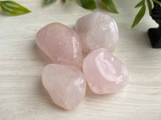Rose Quartz | Large Tumbled