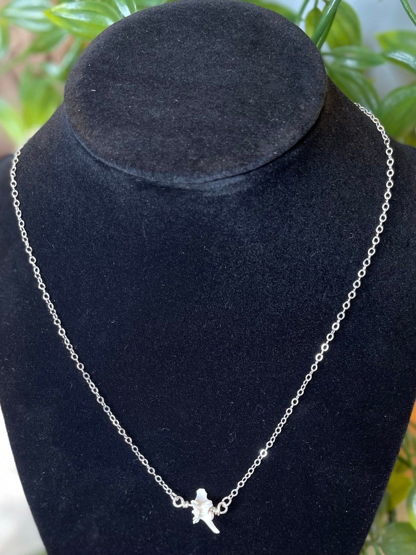Rattlesnake Vertebrae Necklace | Ethically Sourced Natural Rattlesnake Bone Jewelry on Silver Chain