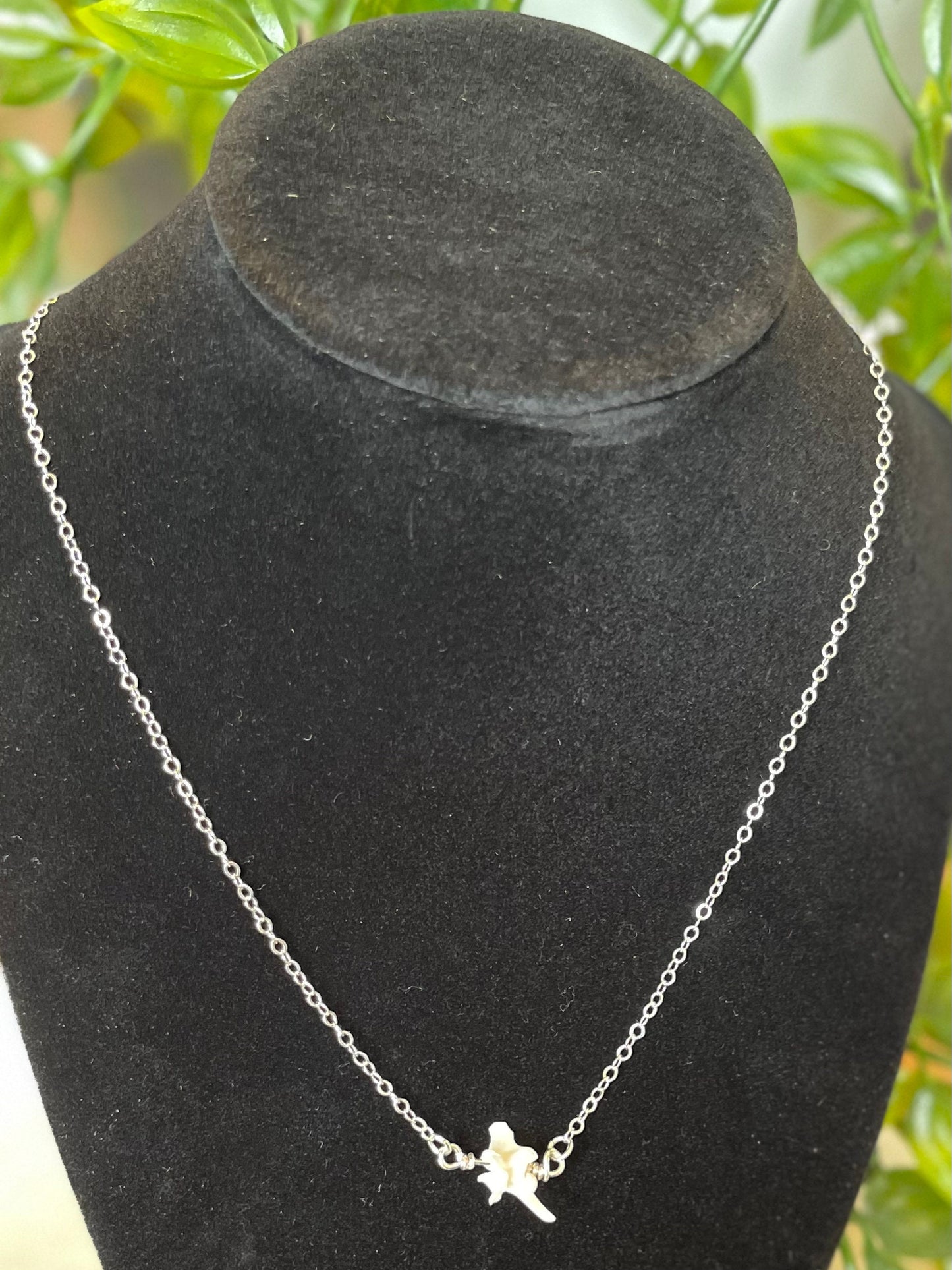 Rattlesnake Vertebrae Necklace | Ethically Sourced Natural Rattlesnake Bone Jewelry on Silver Chain