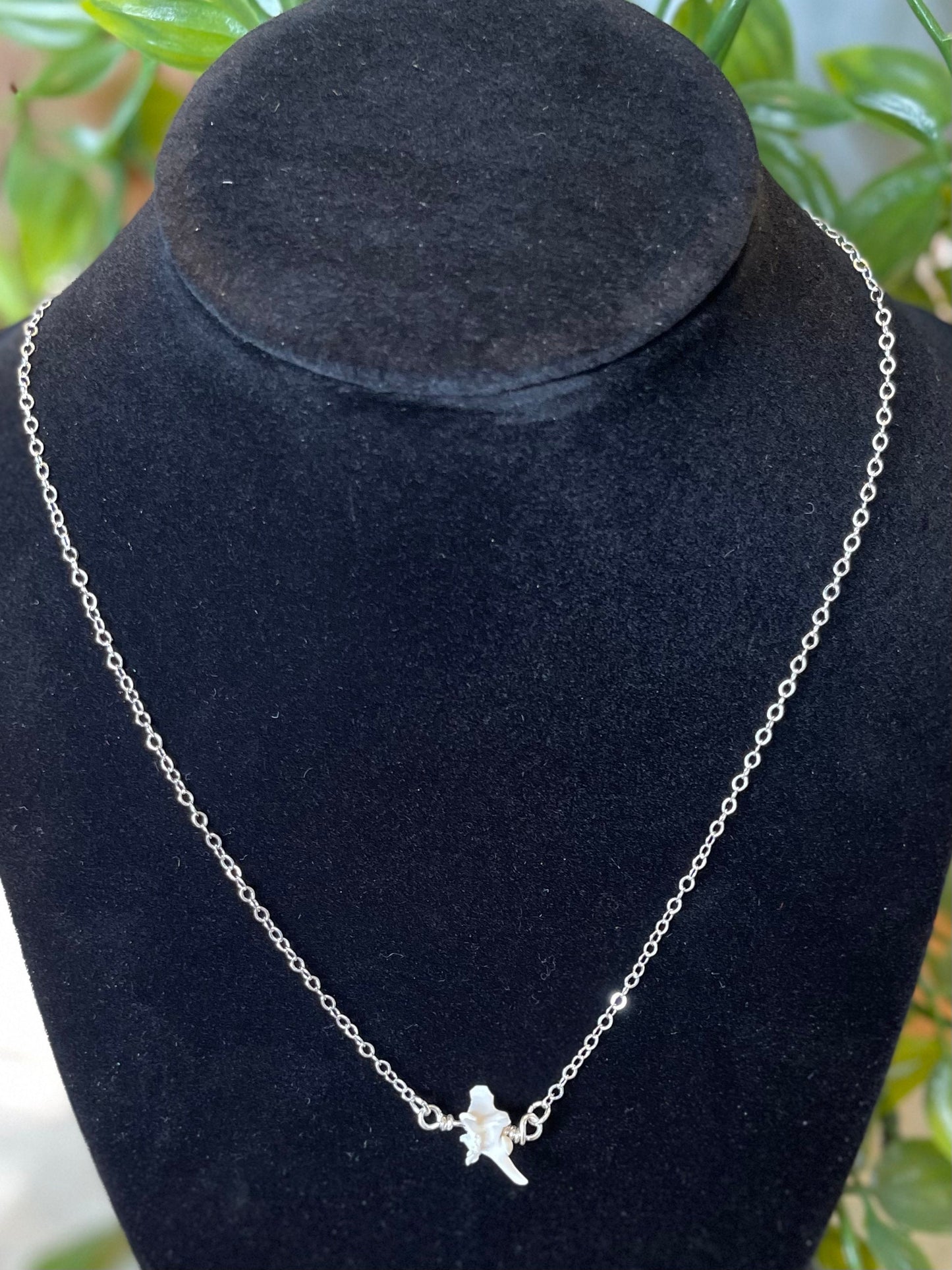 Rattlesnake Vertebrae Necklace | Ethically Sourced Natural Rattlesnake Bone Jewelry on Silver Chain