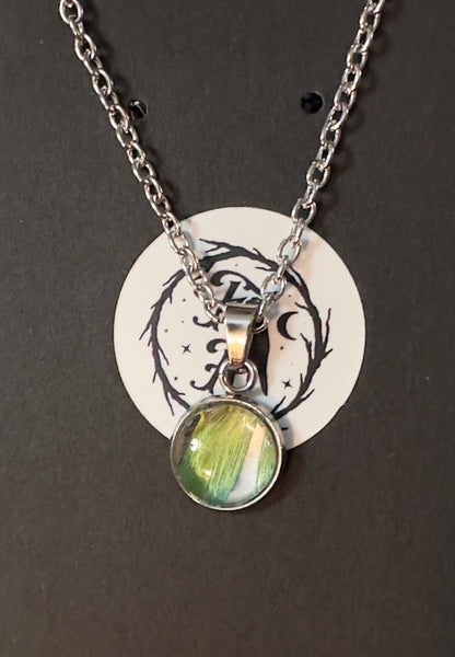 Senegal & Meyers Parrot Feather | Necklace