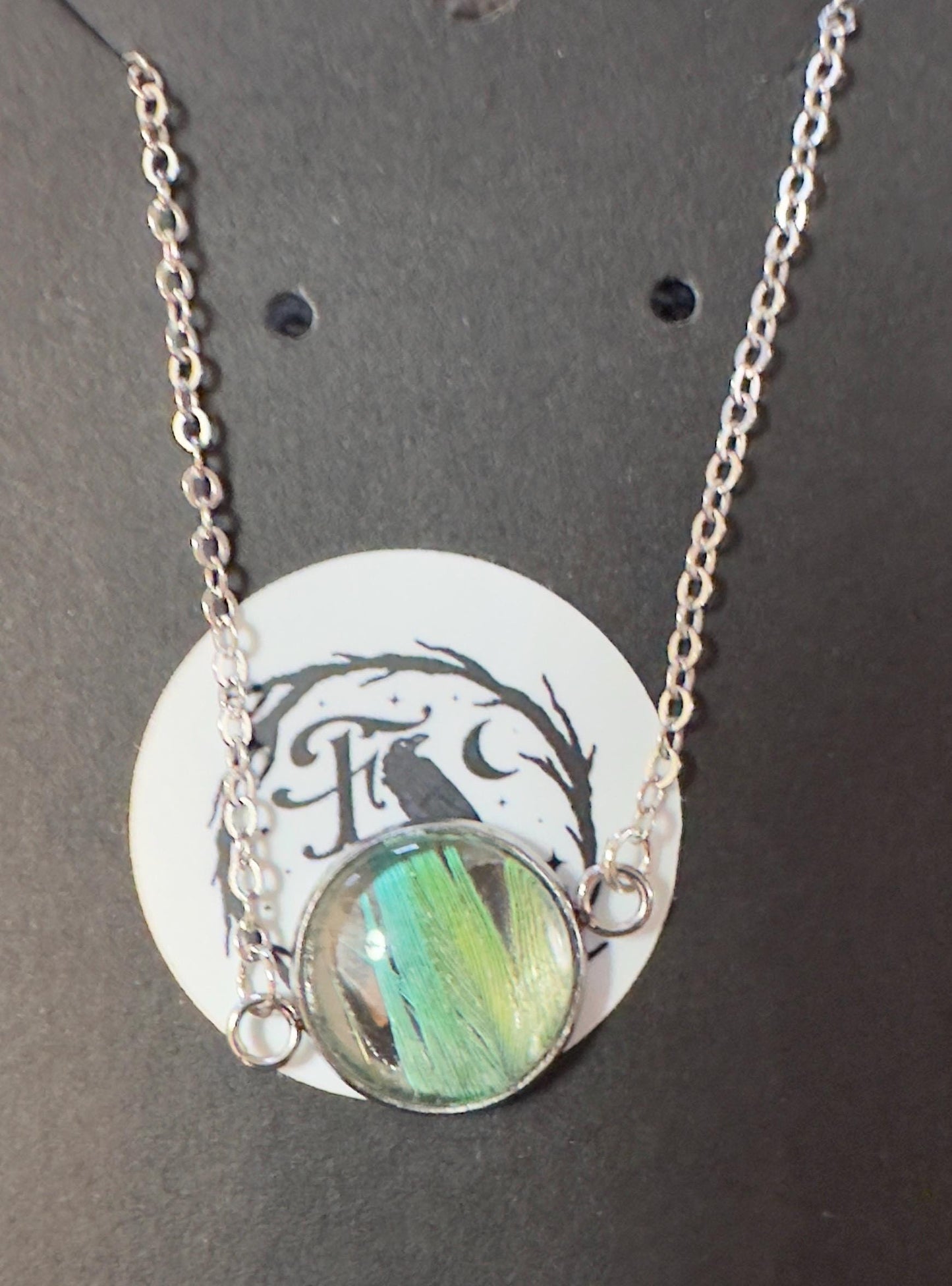 Senegal & Meyers Parrot Feather | Necklace