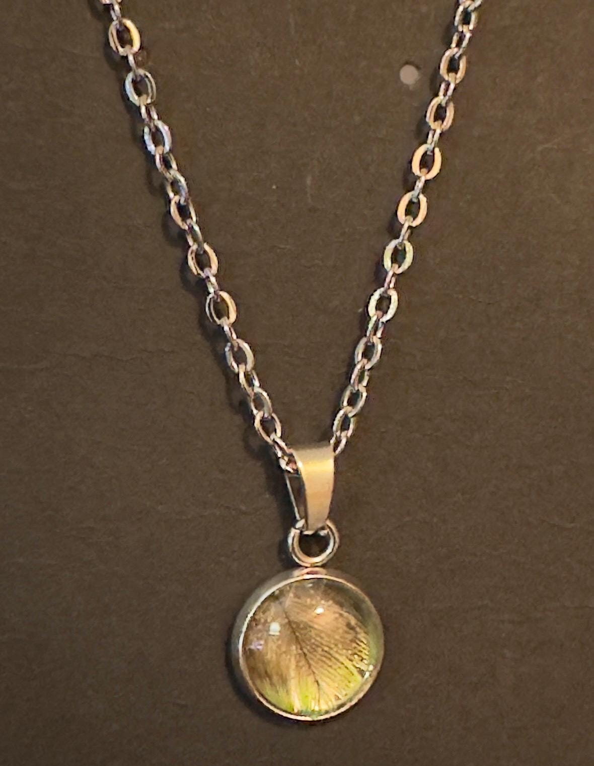 Senegal & Meyers Parrot Feather | Necklace