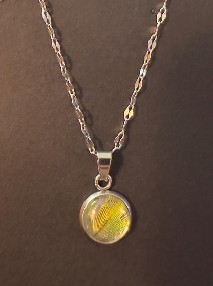 Senegal & Meyers Parrot Feather | Necklace