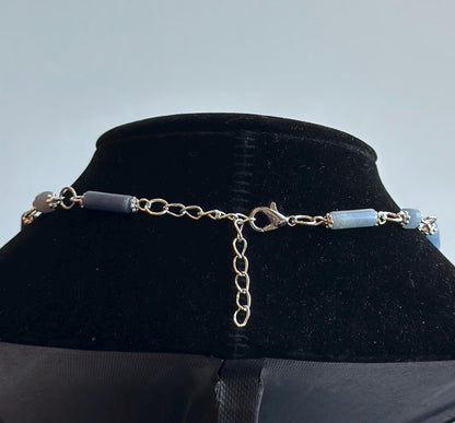 Snake Vertebrae and Blue Lace Agate Necklace - Gothic, Witch, Bone Jewelry