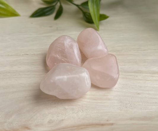 Rose Quartz | Small Tumbled